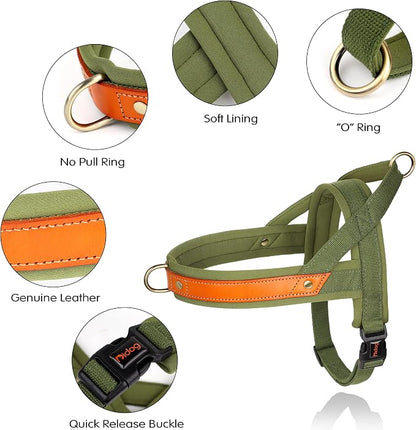 French Bulldog No-Pull Harness – Soft Padded Leather Vest