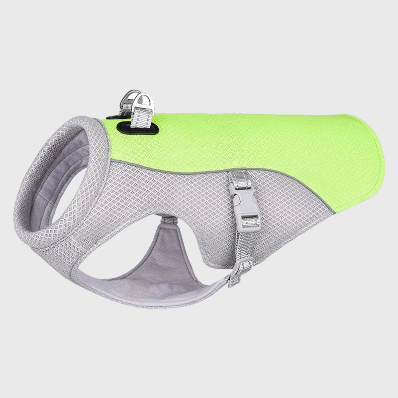 French Bulldog Cooling Vest – Breathable Summer Heat Protection