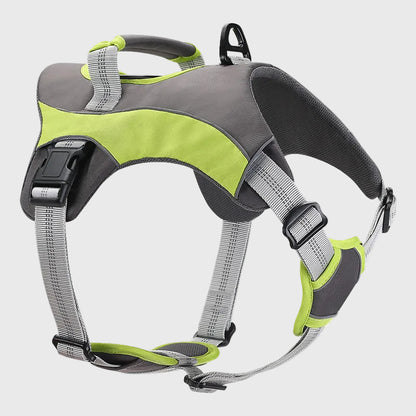 French Bulldog Reflective Chest Harness – Explosion-Proof Vest