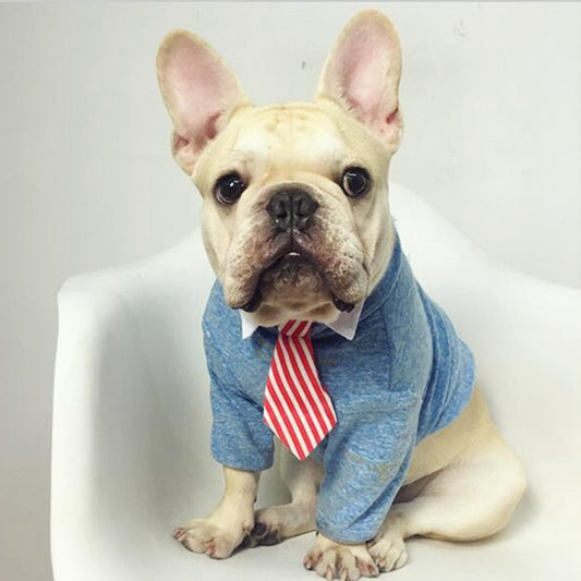 French Bulldog Bow Tie Collar