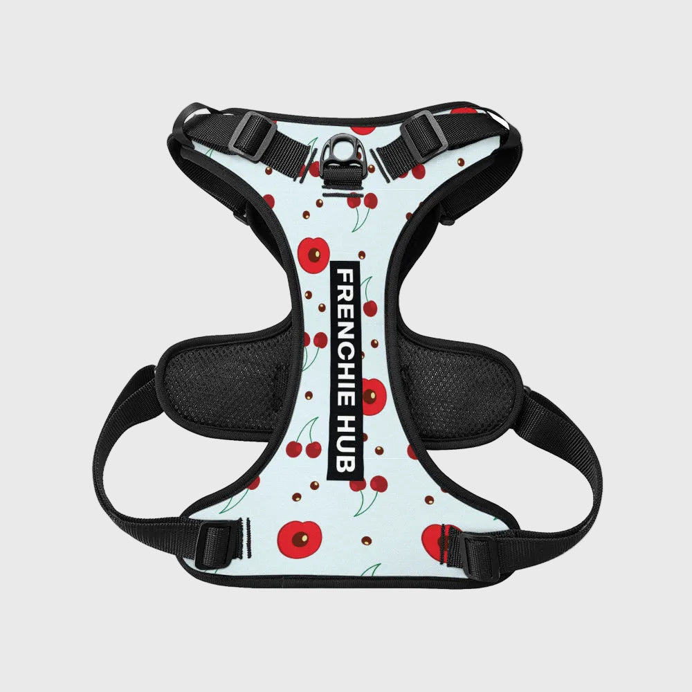 French Bulldog Harness Set – Adjustable Straps, Breathable Mesh Design
