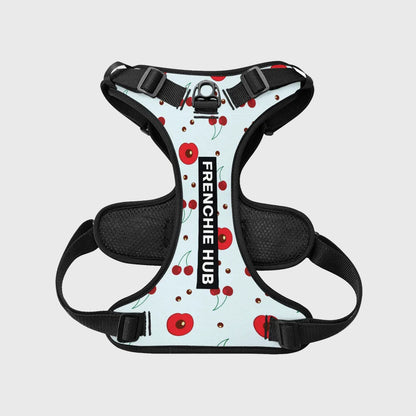 French Bulldog Harness Set – Adjustable Straps, Breathable Mesh Design