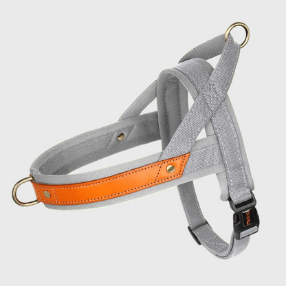 French Bulldog No-Pull Harness – Soft Padded Leather Vest