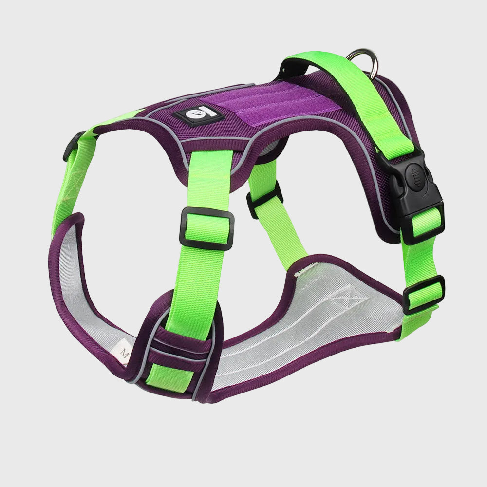 French Bulldog Chest Harness Vest – Durable Oxford No-Escape