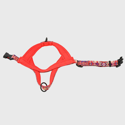 French Bulldog Anti-Pull Nylon Harness – Leash Set Chest Back
