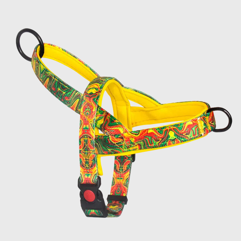 French Bulldog Anti-Pull Nylon Harness – Leash Set Chest Back