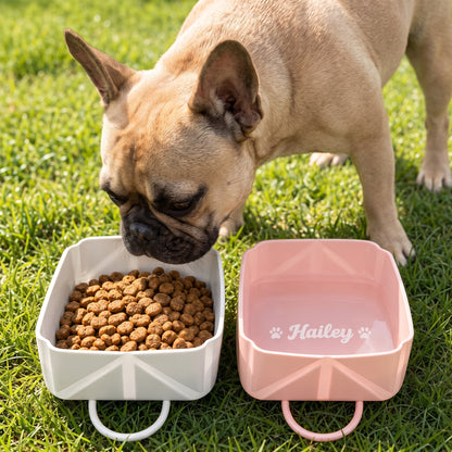 French Bulldog Custom Foldable Silicone Bowl – Outdoor Travel