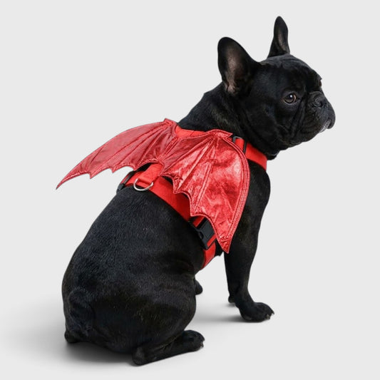 French Bulldog Bat Vest Costume – Halloween Traction Rope Outfit