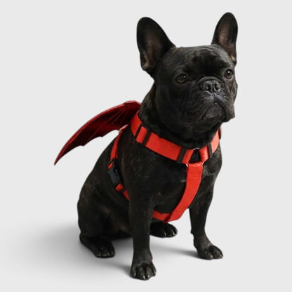 French Bulldog Bat Vest Costume – Halloween Traction Rope Outfit