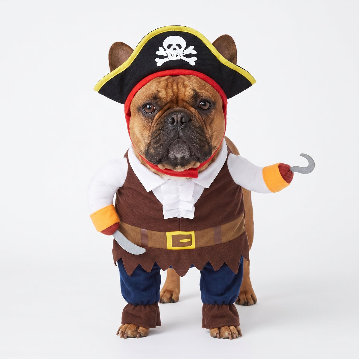 French Bulldog Pirate Costume – Cute Two-Legged Transforming Outfit