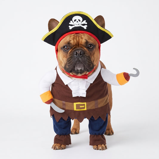 French Bulldog Pirate Costume – Cute Two-Legged Transforming Outfit