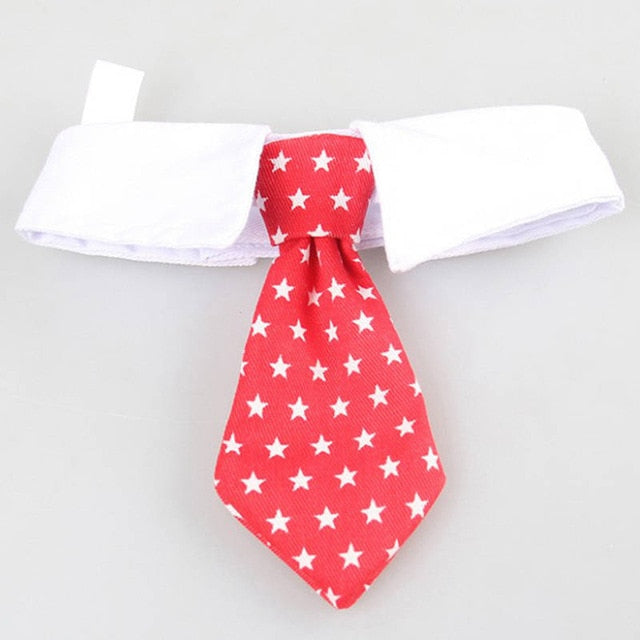 French Bulldog Bow Tie Collar