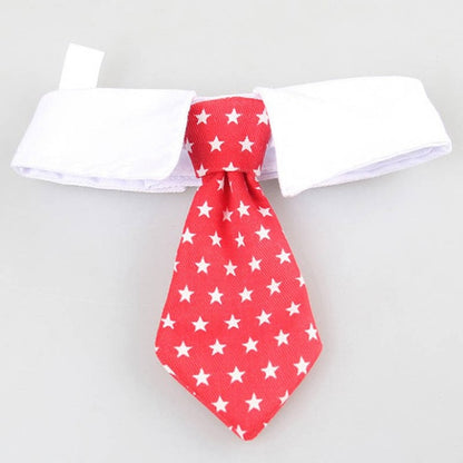 French Bulldog Bow Tie Collar