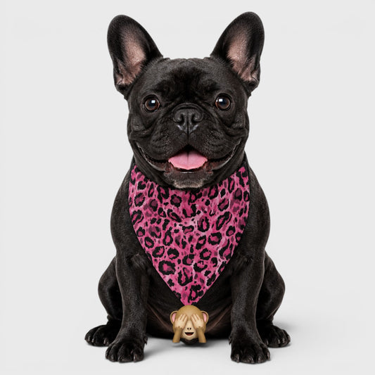 Frenchie Bib – Durable, Comfortable & Highly Absorbent