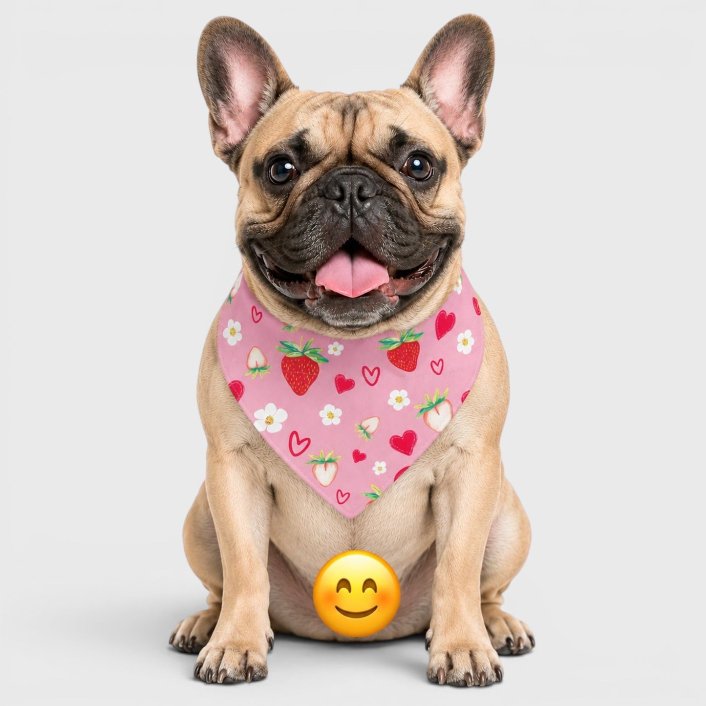 French Bulldog Bib – Soft & Absorbent Everyday Bib