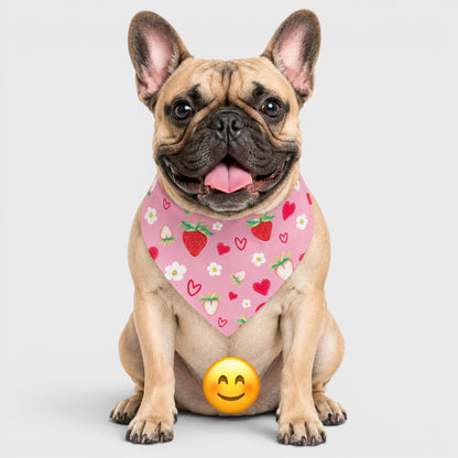 French Bulldog Bib – Soft & Absorbent Everyday Bib