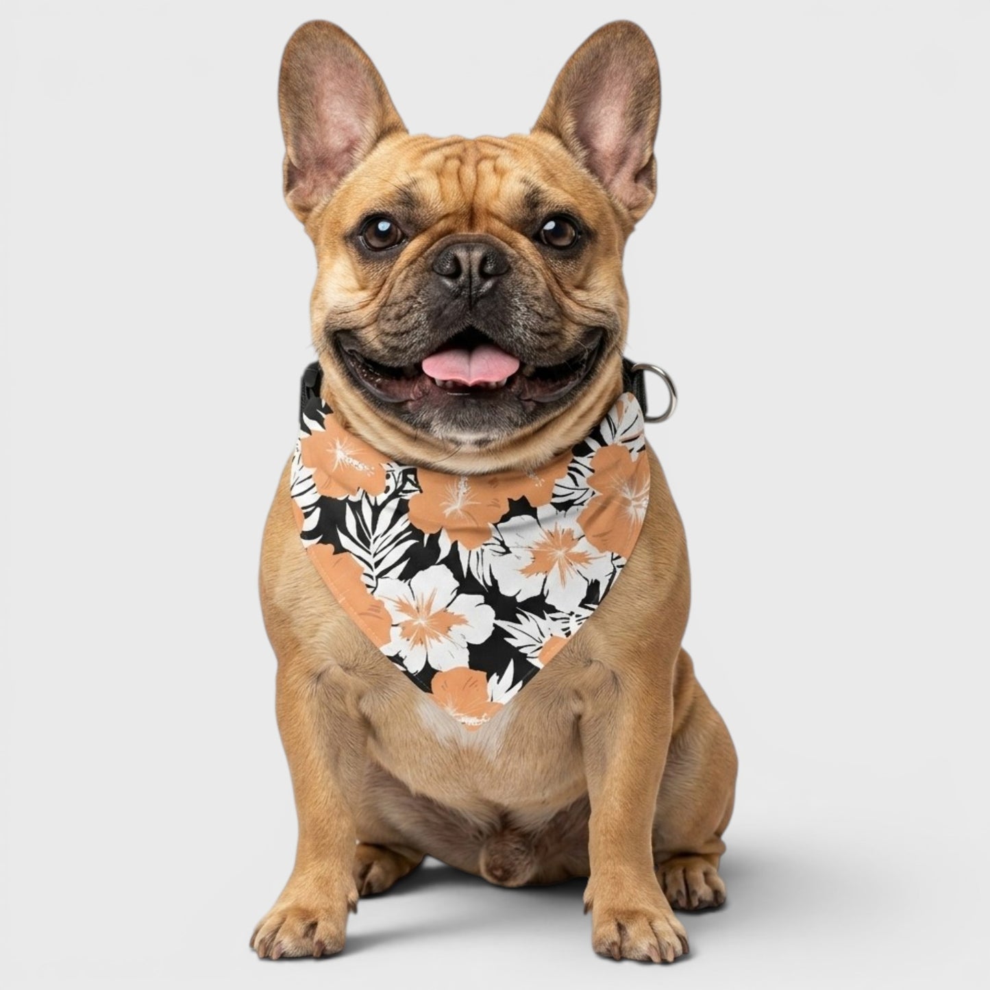 French Bulldog Bib – Adorable & Functional Feeding Bib