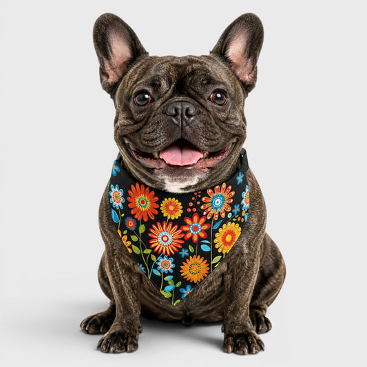 French Bulldog Bib – Everyday Comfort & Absorbent Protection