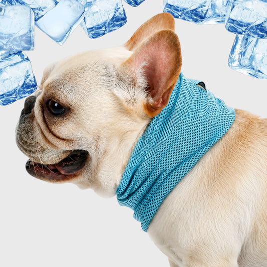 French Bulldog Cooling Bandana – Instant Ice Cool Neck Wrap