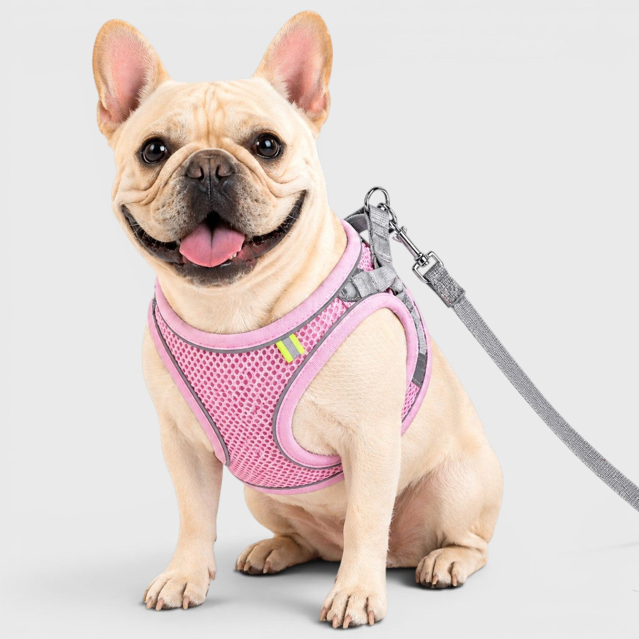 French Bulldog Reflective Mesh Harness – Safe, Cool & Adjustable