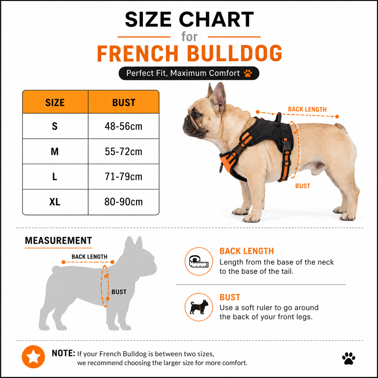 French Bulldog Reflective Vest Harness – Explosion-Proof Oxford