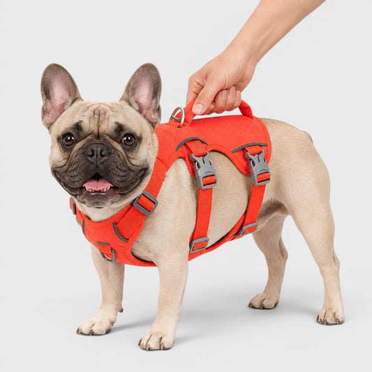 French Bulldog No-Escape Harness – Padded Control Handle Vest