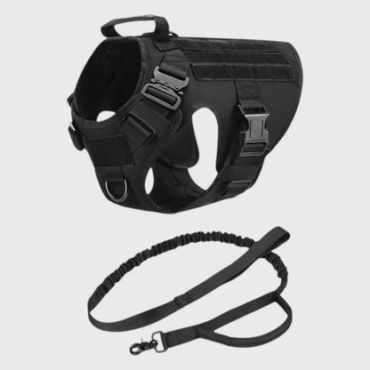 French Bulldog Tactical Training Vest – Adjustable Nylon Harness