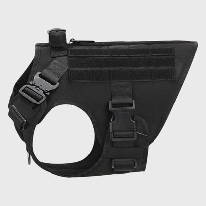 French Bulldog Tactical Training Vest – Adjustable Nylon Harness