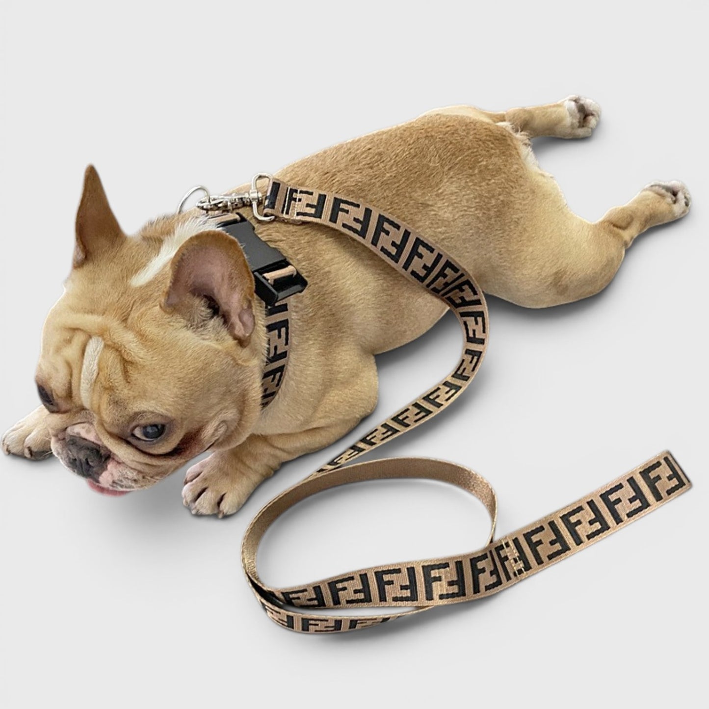 Streetwear Hype Frenchie Harness & Leash Set