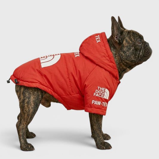 Frenchie Explorer Raincoat – Windproof & Water-Resistant Dog Rain Jacket