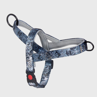 French Bulldog Anti-Pull Nylon Harness – Leash Set Chest Back