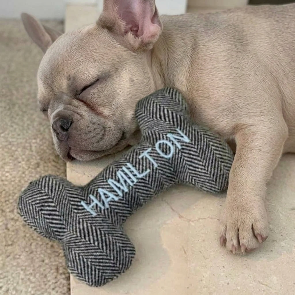 French Bulldog Custom Bone Toy – Embroidered Name Tweed Squeaker
