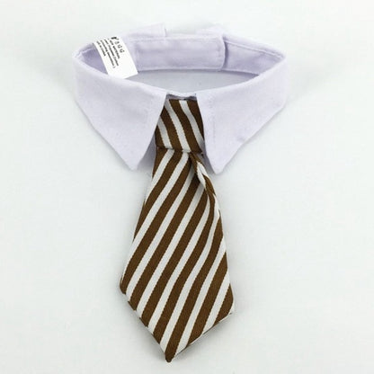 French Bulldog Bow Tie Collar
