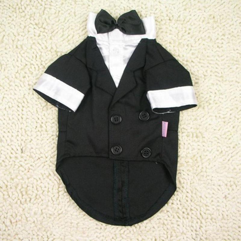 French Bulldog Wedding Tuxedo – Gentleman Bow Tie Formal Suit