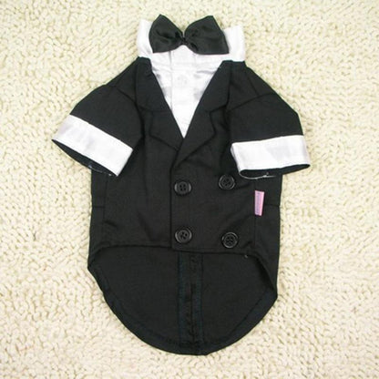 French Bulldog Wedding Tuxedo – Gentleman Bow Tie Formal Suit