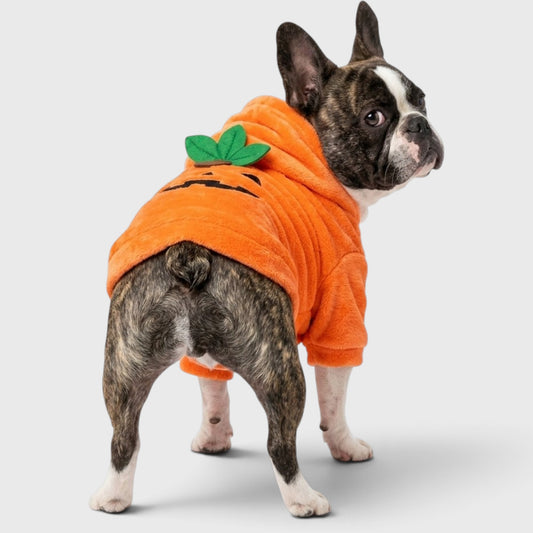 French Bulldog Pumpkin Hoodie Costume – Warm Fleece with Leash Clip