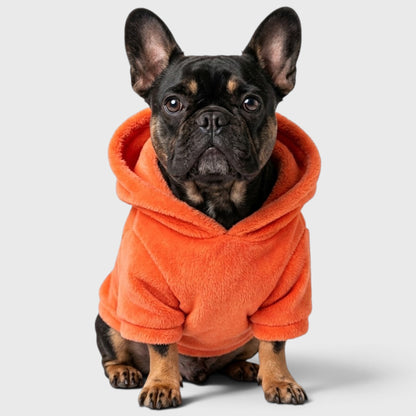 French Bulldog Pumpkin Hoodie Costume – Warm Fleece with Leash Clip