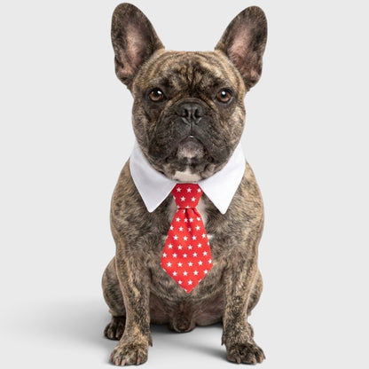 French Bulldog Bow Tie Collar