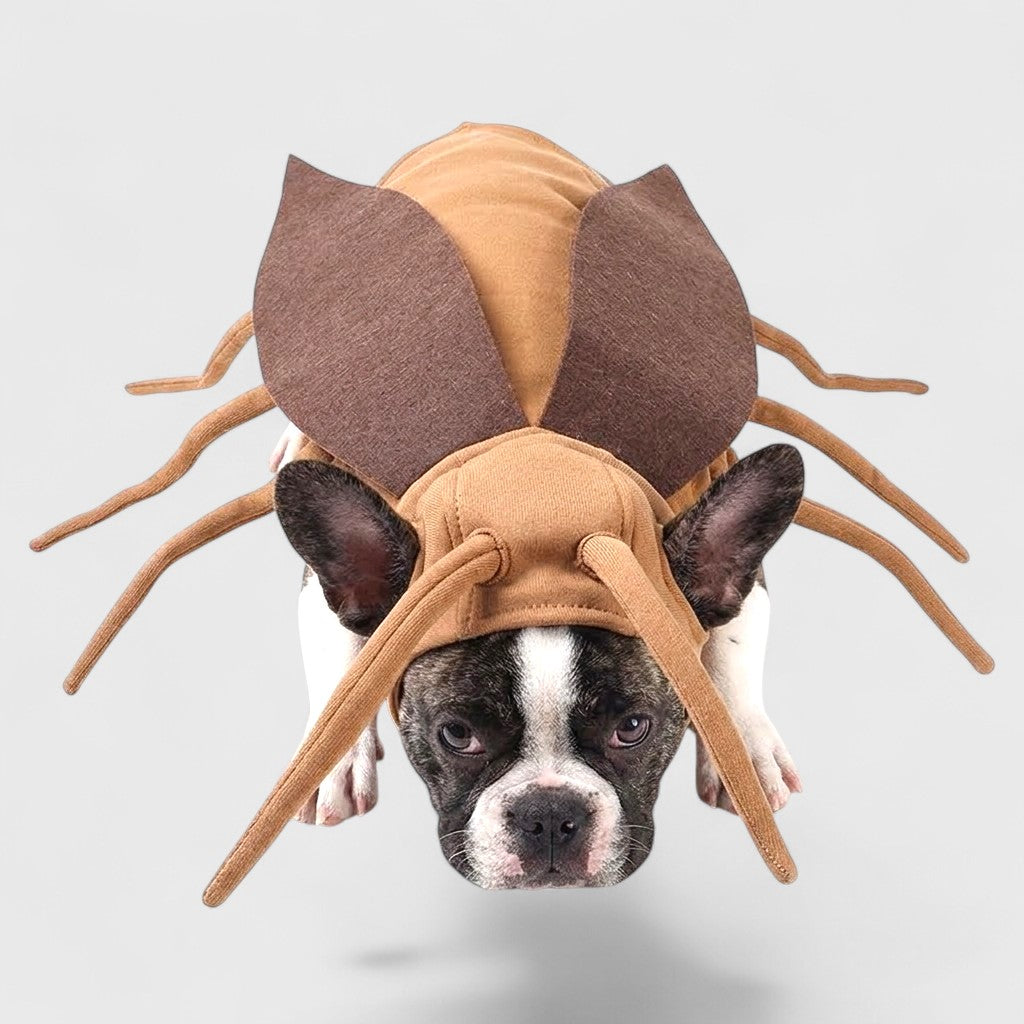French Bulldog Cockroach Costume – Funny Halloween Transformation