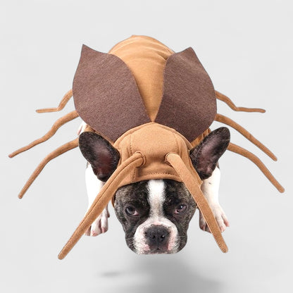 French Bulldog Cockroach Costume – Funny Halloween Transformation