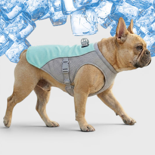 French Bulldog Cooling Vest – Breathable Summer Heat Protection