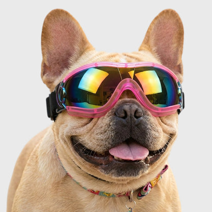 French Bulldog Sunglasses – Windproof UV Protection Pet Glasses