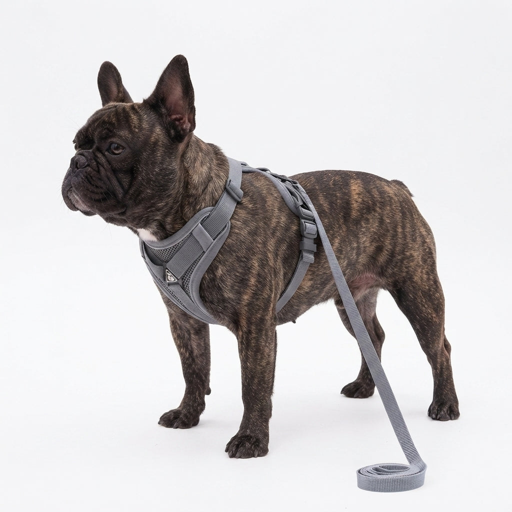 French Bulldog Reflective Mesh Vest Harness – Breathable & Soft