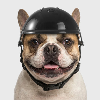 French Bulldog Motorcycle Helmet – Stylish Outdoor Pet Headwear