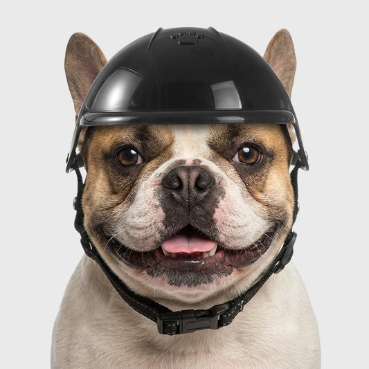 French Bulldog Motorcycle Helmet – Stylish Outdoor Pet Headwear