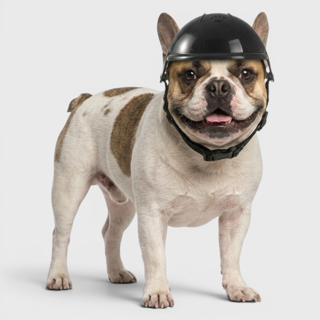 French Bulldog Motorcycle Helmet – Stylish Outdoor Pet Headwear