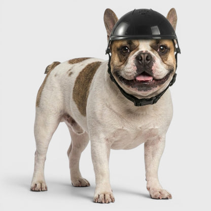 French Bulldog Motorcycle Helmet – Stylish Outdoor Pet Headwear