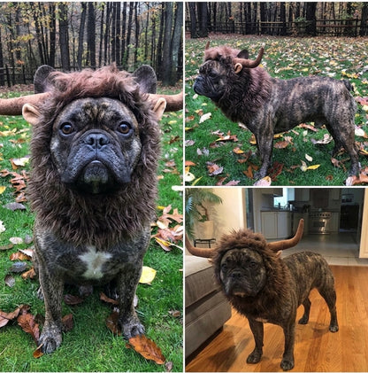 French Bulldog Lion Mane Wig Hat – Funny Costume Accessory