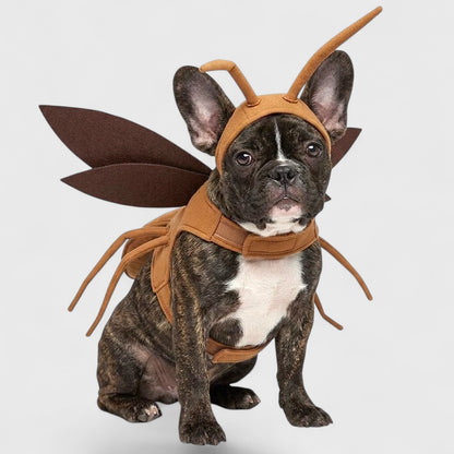 French Bulldog Cockroach Costume – Funny Halloween Transformation