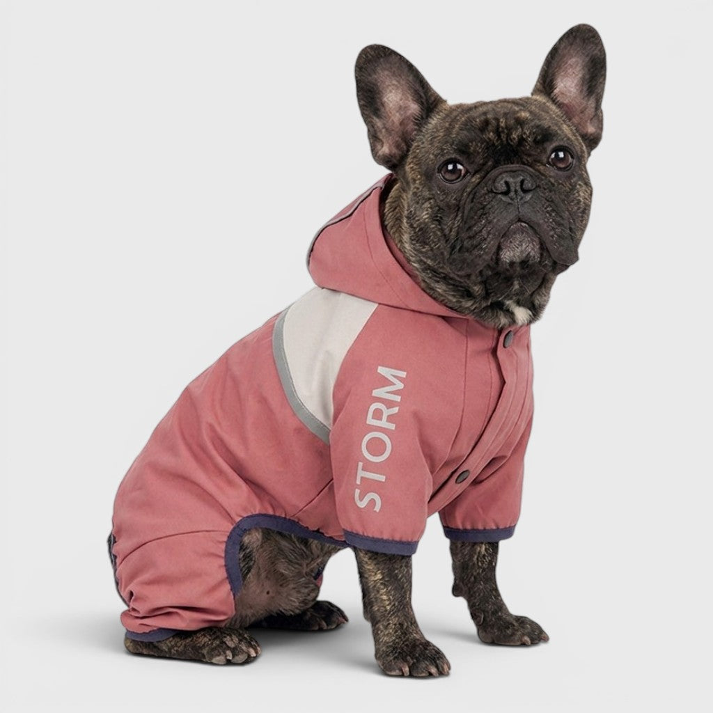 French Bulldog Reflective Raincoat – Waterproof & Breathable